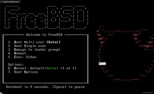 虛擬化與實(shí)體 FreeBSD UNIX系統(tǒng)在VMware上的安裝與建筑物電力系統(tǒng)安裝的對(duì)比